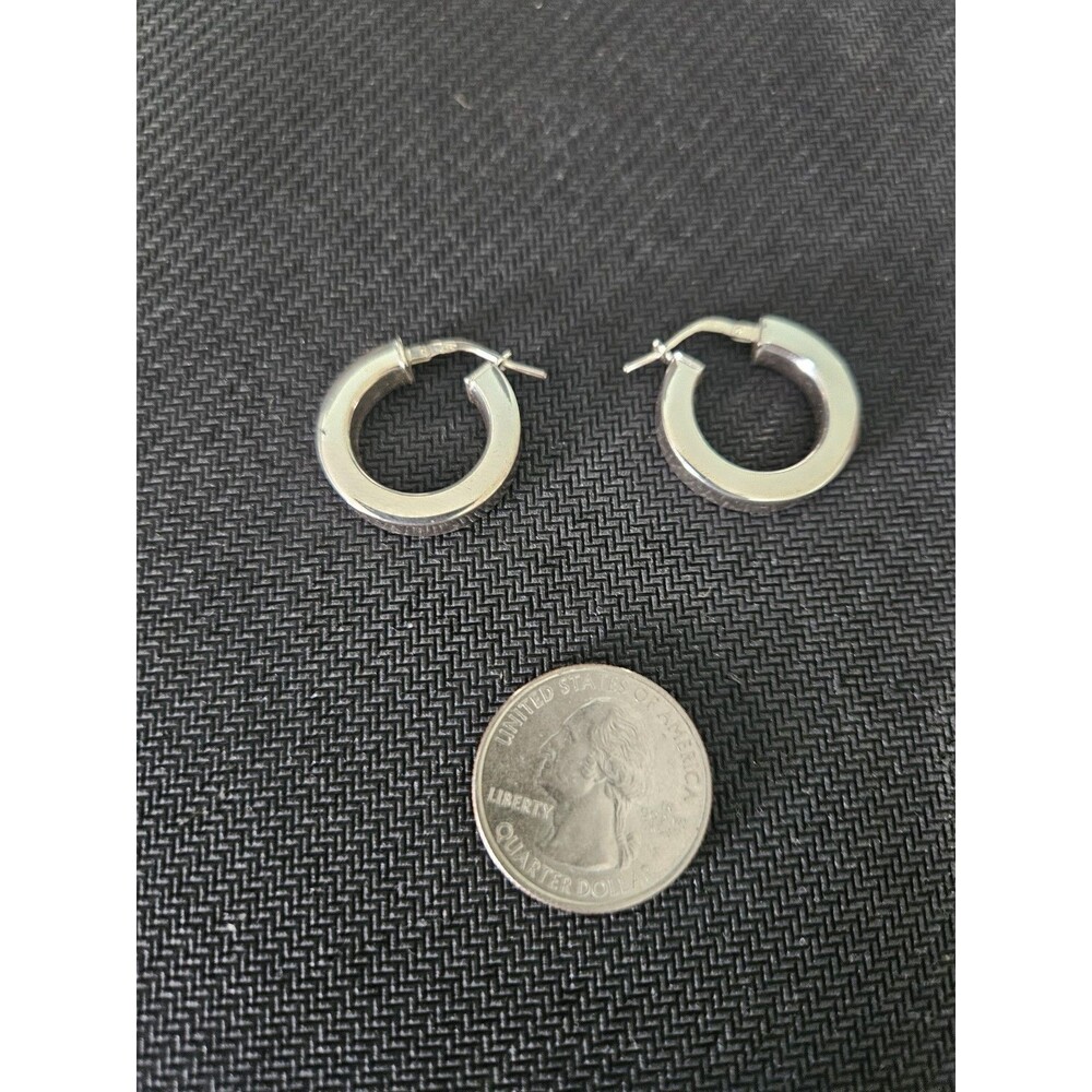 Chubby Hoop Earrings